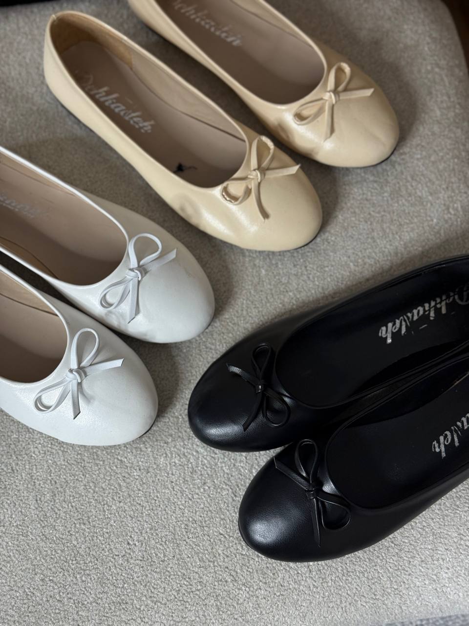 photo_2_2025-05-17_06-46-26 کالج پاپیونی در 3 رنگ